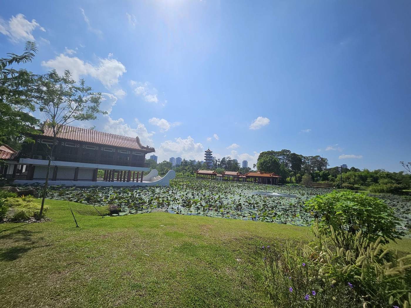 Lotus pond, stone boat and pavilions at the Chinese Garden with the pagoda beyond