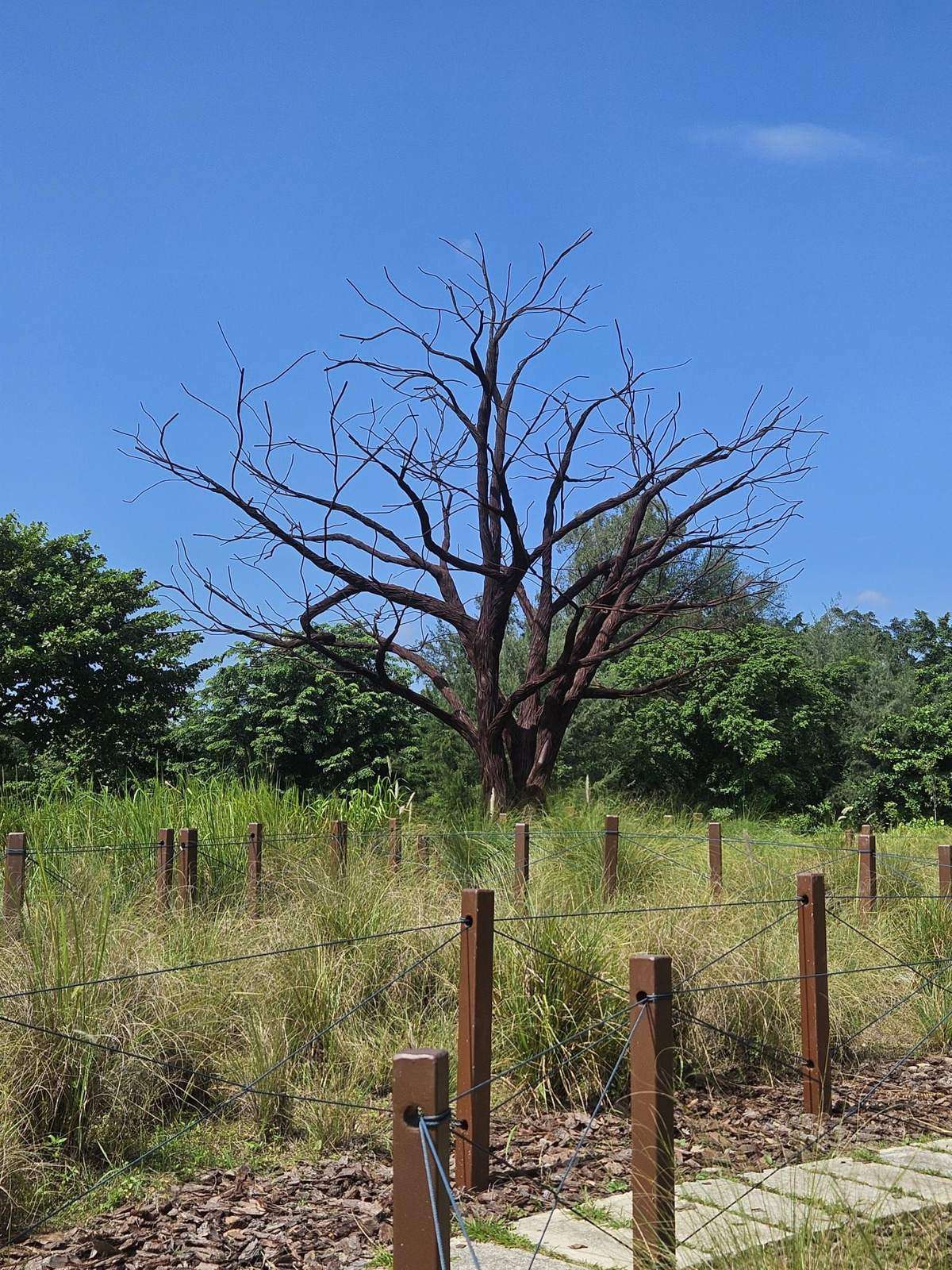 The Lone Tree sculpture, made from recycled iron reinforcement bars, at Jurong Lake Gardens